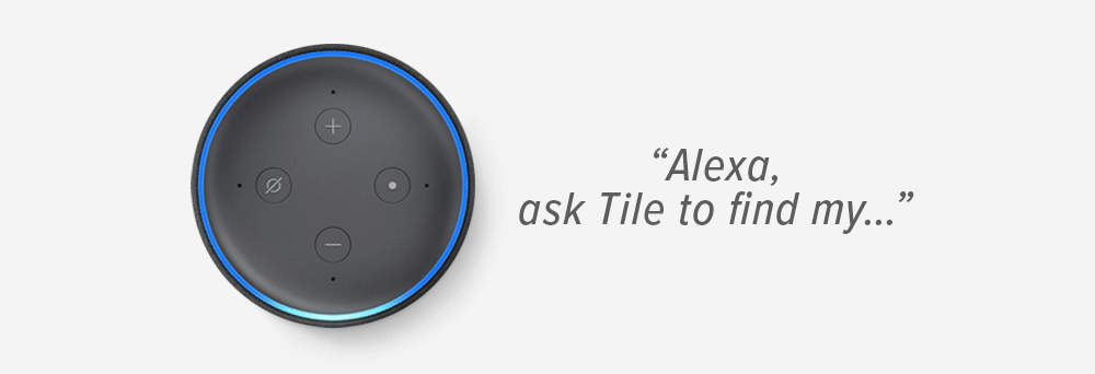 tile alexa